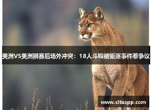 美洲VS美洲狮赛后场外冲突：18人斗殴被驱逐事件惹争议